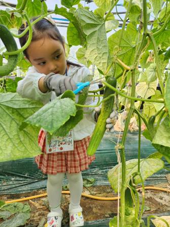 우리가족 힐링타임 - 일상회복 치유농업 쉼 프로그램(아빠와 자녀 추억쌓기) 게시글의 8 번째 이미지
