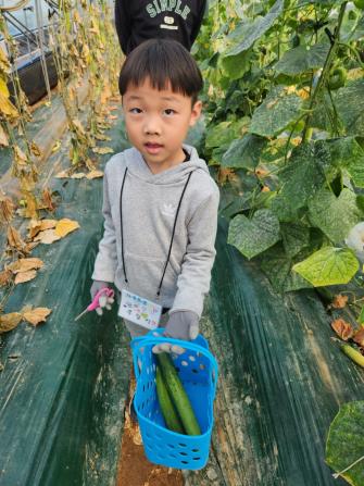 우리가족 힐링타임 - 일상회복 치유농업 쉼 프로그램(아빠와 자녀 추억쌓기) 게시글의 9 번째 이미지