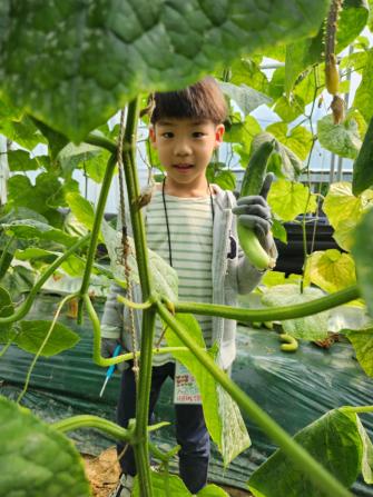 우리가족 힐링타임 - 일상회복 치유농업 쉼 프로그램(아빠와 자녀 추억쌓기) 게시글의 10 번째 이미지